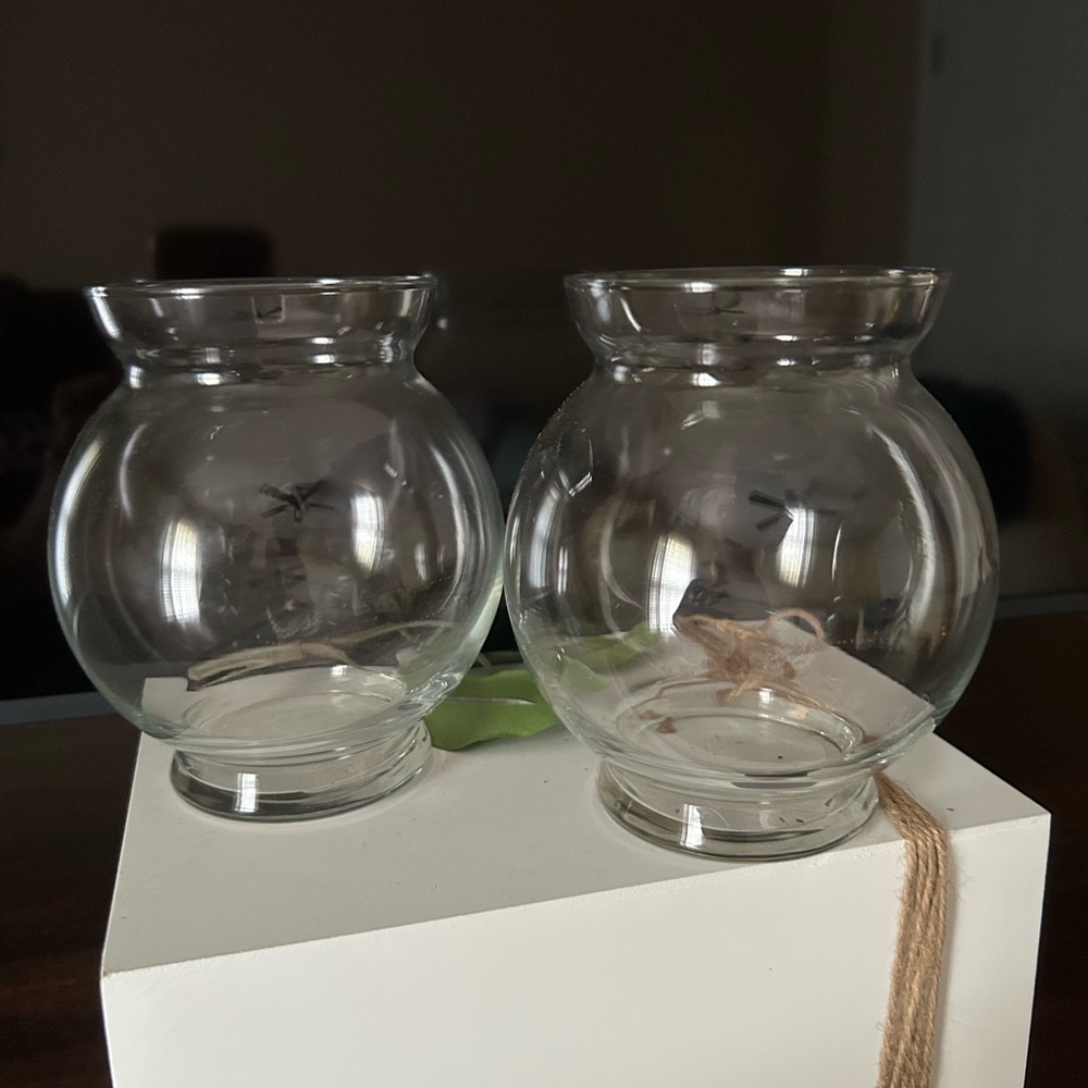 Classic Clear Glass Vase Pair